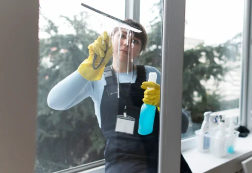 Nettoyage de vitres intérieures et extérieures à Lachassagne